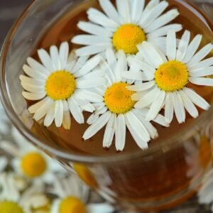 chamomile, tea